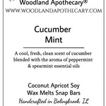 Wax Melt Snap Bar - Cucumber Mint