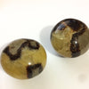Palm Stones - Septarian