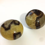 Palm Stones - Septarian