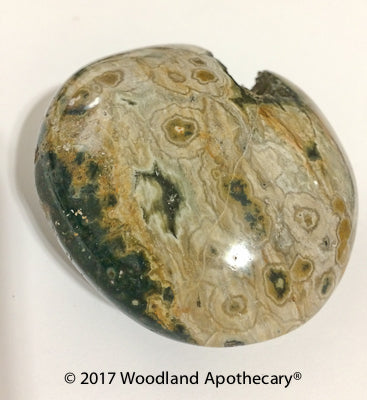Orbicular Ocean Jasper Palm Stone | Woodland Apothecary®