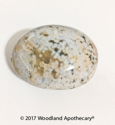 Orbicular Ocean Jasper Palm Stone | Woodland Apothecary®
