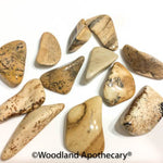 Picture Jasper Tumbled Stones | Woodland Apothecary®