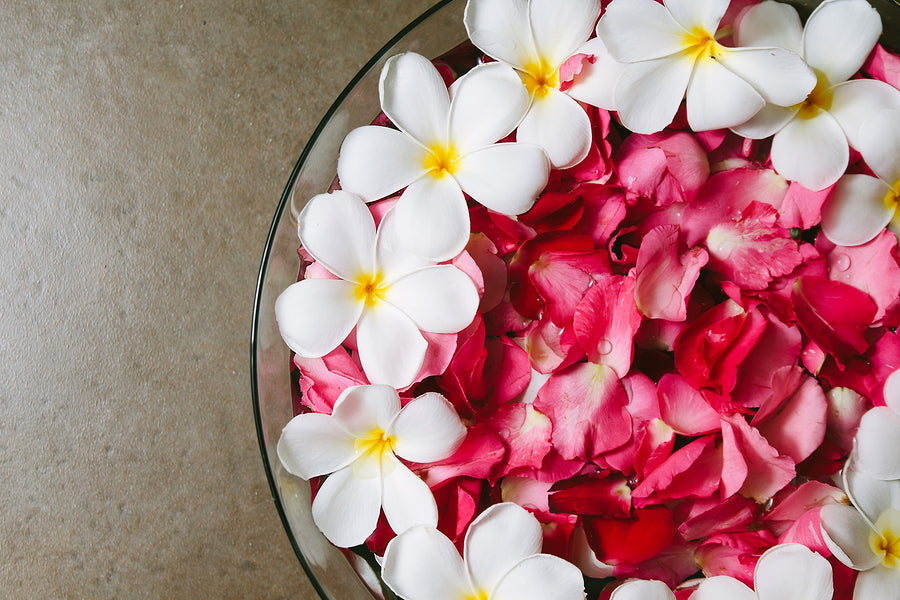 Solid Perfume - Plum Rose (Jar)