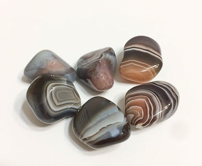 Botswana Agate Tumbled Stones (2) | Woodland Apothecary®