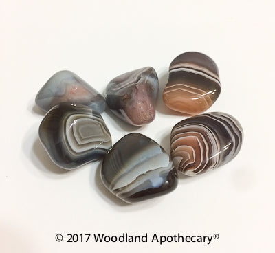 Botswana Agate Tumbled Stones (2) | Woodland Apothecary®