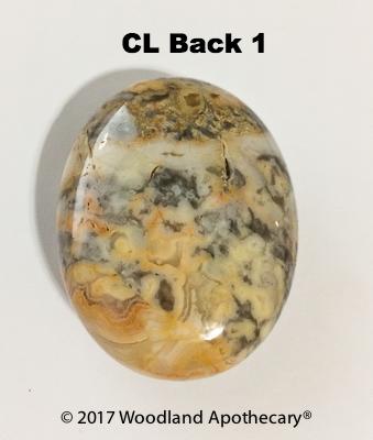 Crazy Lace Agate Palm Stones | Woodland Apothecary®