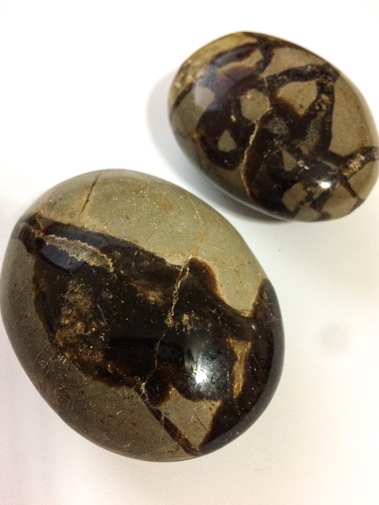 Palm Stones - Septarian