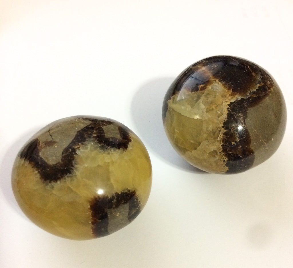 Palm Stones - Septarian