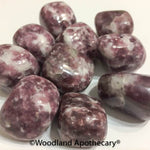Lepidolite Tumbled Stones | Woodland Apothecary®