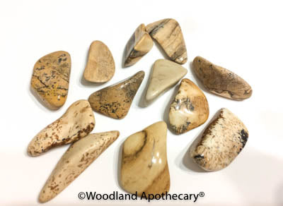 Picture Jasper Tumbled Stones | Woodland Apothecary®