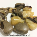 Septarian Tumbled Stones | Woodland Apothecary®