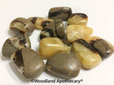 Septarian Tumbled Stones | Woodland Apothecary®