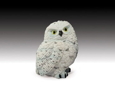 Snowy Owl | Woodland Apothecary®