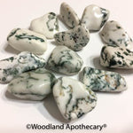 Tree Agate Tumbled Stones | Woodland Apothecary®