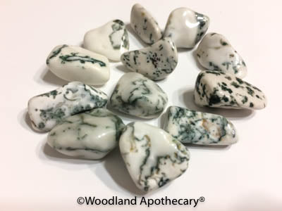 Tree Agate Tumbled Stones | Woodland Apothecary®